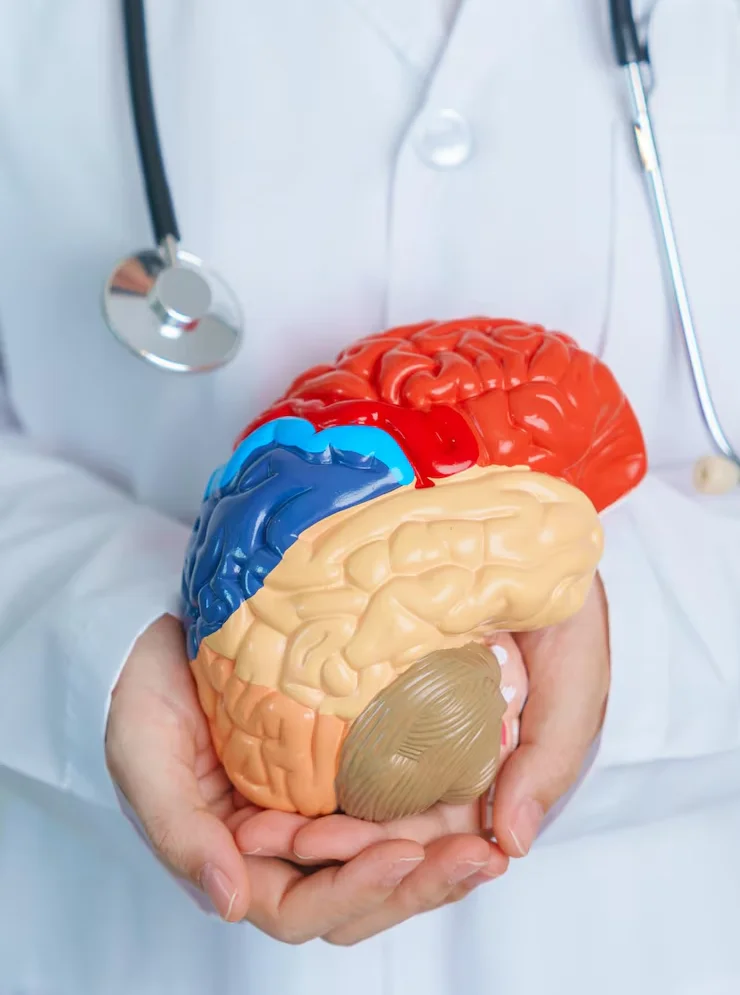 Neurosurgery Expertise